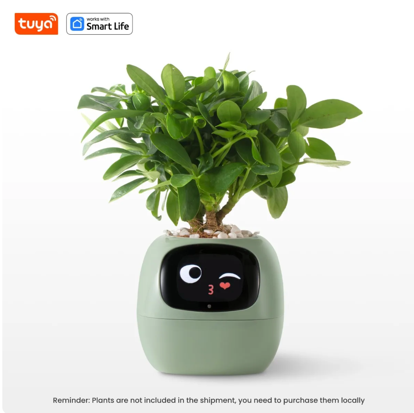 Leaf Pal smart planter - Green