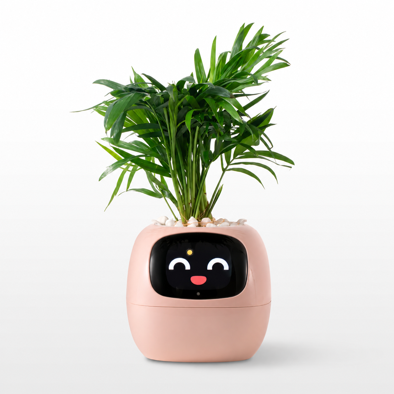 Leaf Pal smart planter - studio