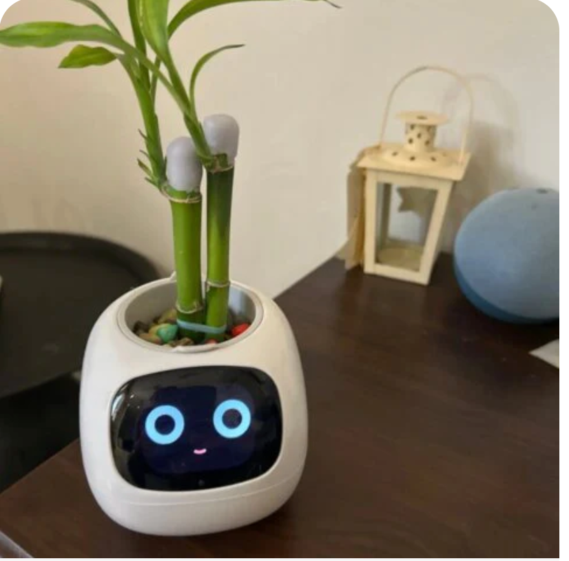 Hannah M. review — Leaf Pal smart planter