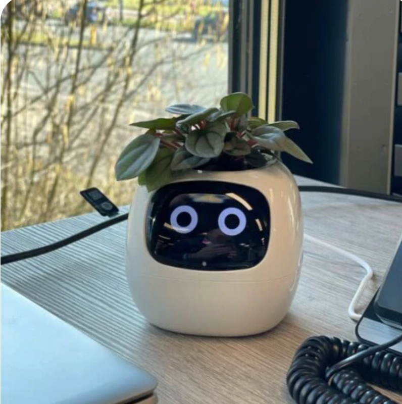 Daniel R. review — Leaf Pal smart planter