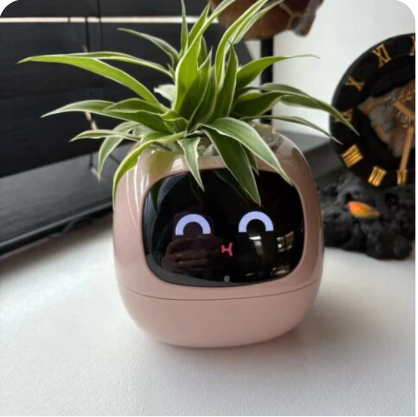 Sophie T. review — Leaf Pal smart planter